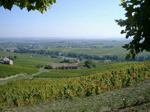 Rhone